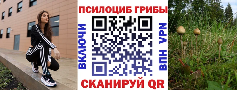 площадка формула  Татарск  Галлюциногенные грибы Psilocybe 