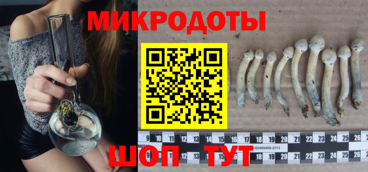 Псилоцибиновые грибы ЛСД  как найти   Татарск  Псилоцибиновые грибы GOLDEN TEACHER  Вход с VPN 